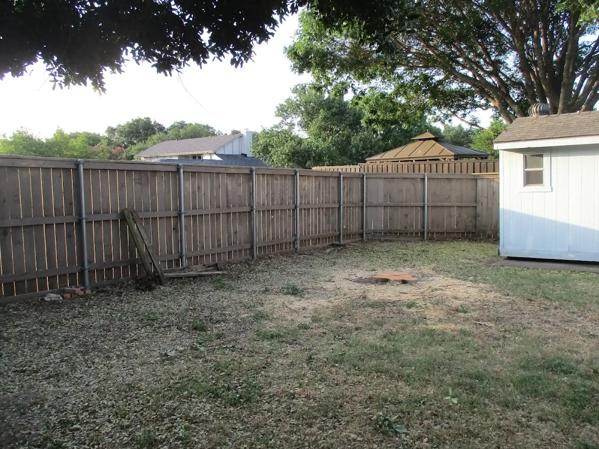 Cleared yard after professional tree removal in Billingsley