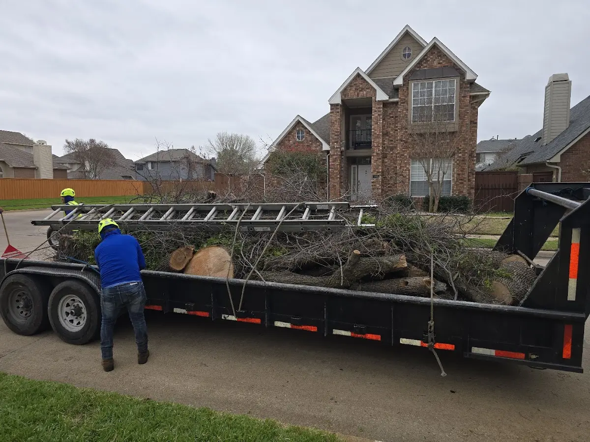 Expert Crown Reduction with proper safety equipment in Billingsley